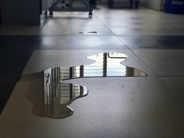 Best Local water damage restoration  in Pocatello, ID