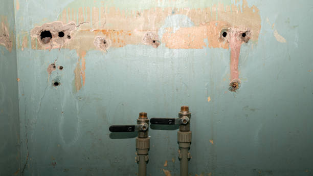Best Ceiling water damage repair  in Pocatello, ID