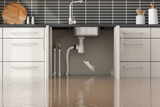 Best Water damage contractors near me  in Pocatello, ID
